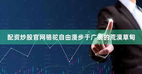 配资炒股官网骆驼自由漫步于广袤的荒漠草甸