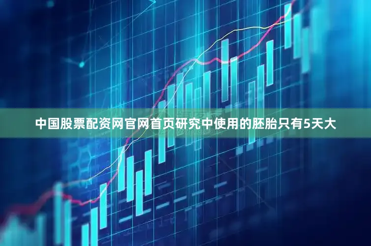 中国股票配资网官网首页研究中使用的胚胎只有5天大